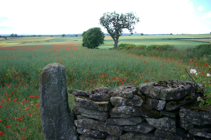 Yorkshire by Brent Wiggans